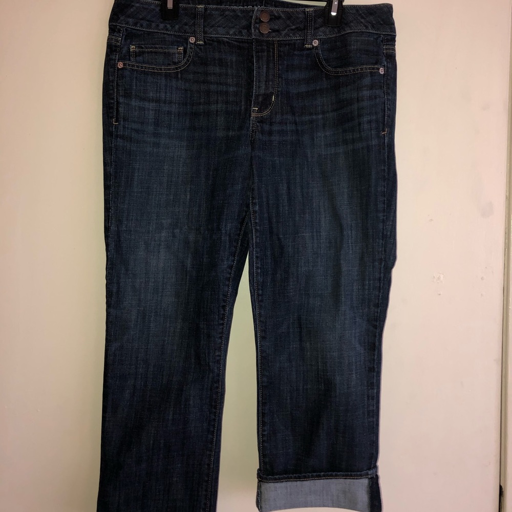 American Eagle Artist Crop Jean Capri Pants